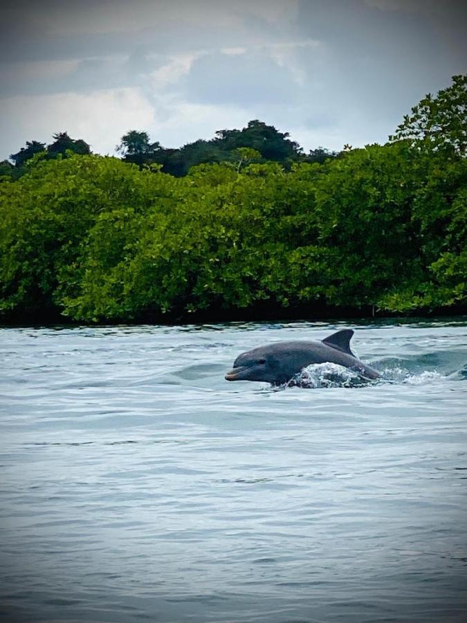 Kevin Kondos Bocas del Toro Exteriör bild